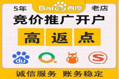 谷歌竞价广告与SEO结合的营销案例解析